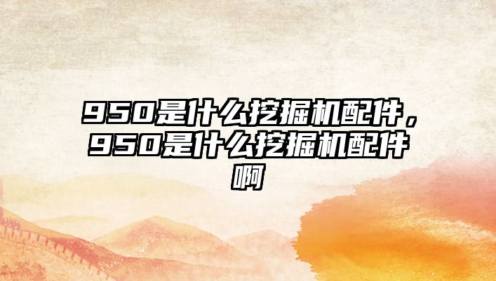 950是什么挖掘機配件，950是什么挖掘機配件啊