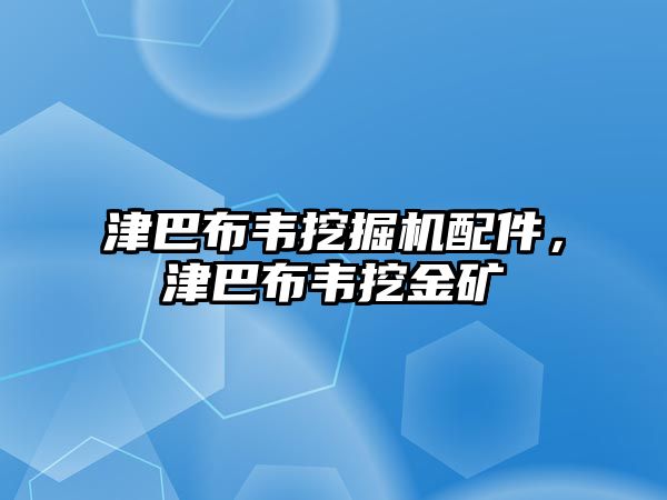 津巴布韋挖掘機(jī)配件，津巴布韋挖金礦