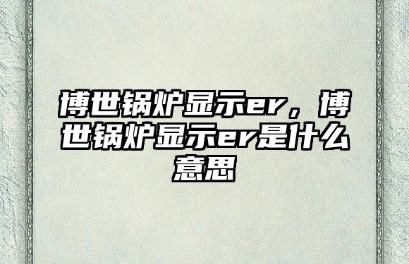 博世鍋爐顯示er，博世鍋爐顯示er是什么意思