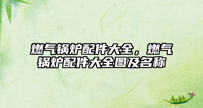 燃?xì)忮仩t配件大全，燃?xì)忮仩t配件大全圖及名稱