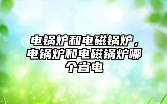 電鍋爐和電磁鍋爐，電鍋爐和電磁鍋爐哪個省電