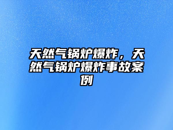 天然氣鍋爐爆炸，天然氣鍋爐爆炸事故案例