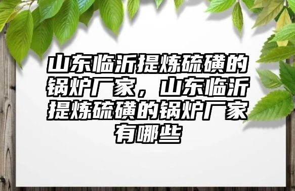 山東臨沂提煉硫磺的鍋爐廠家，山東臨沂提煉硫磺的鍋爐廠家有哪些