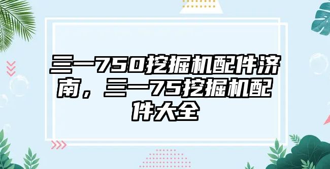 三一750挖掘機配件濟南，三一75挖掘機配件大全