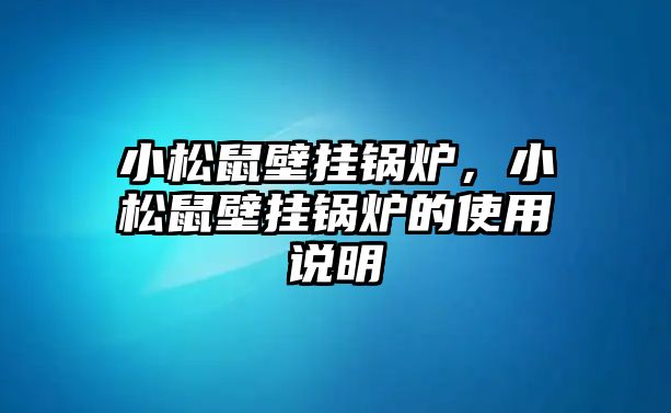 小松鼠壁掛鍋爐，小松鼠壁掛鍋爐的使用說(shuō)明