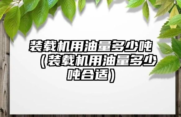 裝載機(jī)用油量多少?lài)崳ㄑb載機(jī)用油量多少?lài)嵑线m）