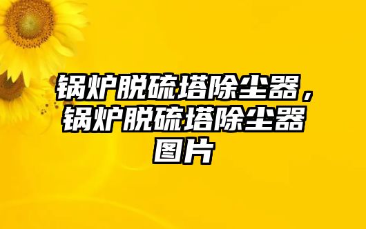 鍋爐脫硫塔除塵器，鍋爐脫硫塔除塵器圖片