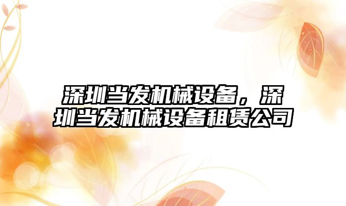 深圳當發(fā)機械設備，深圳當發(fā)機械設備租賃公司