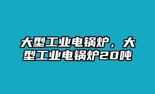 大型工業(yè)電鍋爐，大型工業(yè)電鍋爐20噸