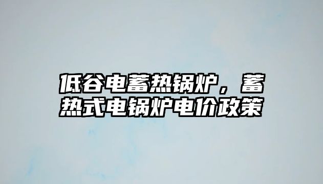 低谷電蓄熱鍋爐，蓄熱式電鍋爐電價(jià)政策