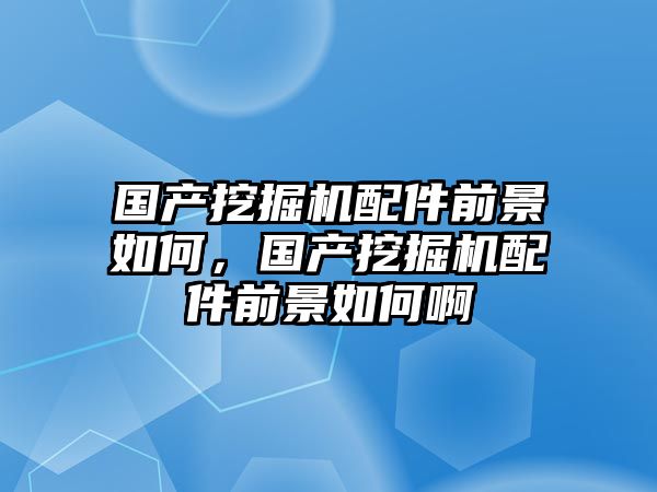 國產(chǎn)挖掘機配件前景如何，國產(chǎn)挖掘機配件前景如何啊