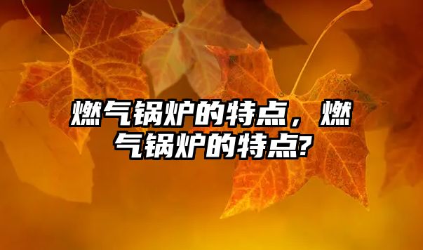 燃?xì)忮仩t的特點(diǎn)，燃?xì)忮仩t的特點(diǎn)?