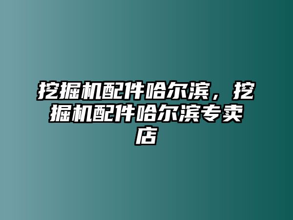 挖掘機配件哈爾濱，挖掘機配件哈爾濱專賣店