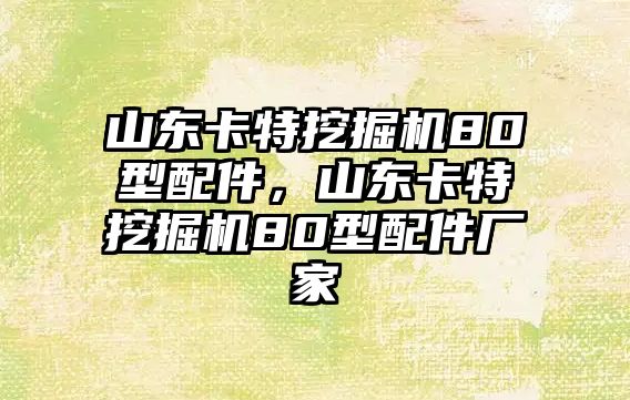 山東卡特挖掘機80型配件，山東卡特挖掘機80型配件廠家