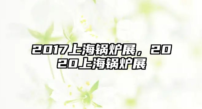 2017上海鍋爐展，2020上海鍋爐展