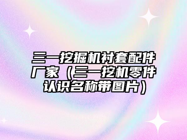 三一挖掘機襯套配件廠家（三一挖機零件認(rèn)識名稱帶圖片）