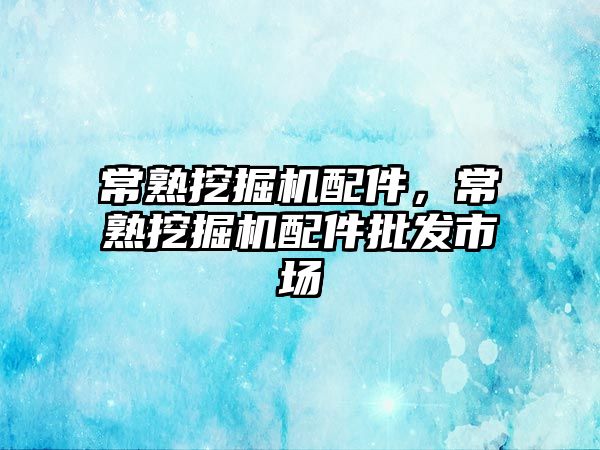 常熟挖掘機配件，常熟挖掘機配件批發(fā)市場