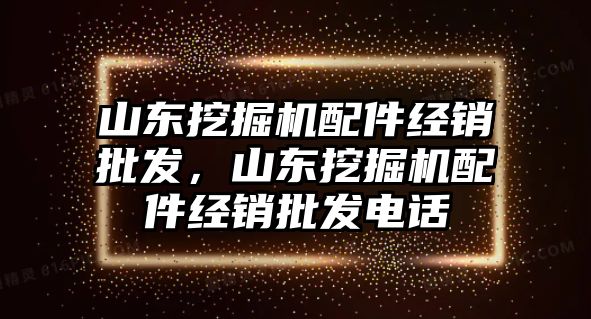 山東挖掘機配件經(jīng)銷批發(fā)，山東挖掘機配件經(jīng)銷批發(fā)電話