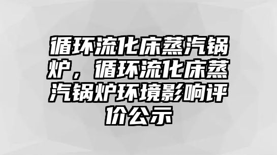 循環(huán)流化床蒸汽鍋爐，循環(huán)流化床蒸汽鍋爐環(huán)境影響評價公示