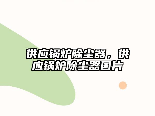 供應(yīng)鍋爐除塵器，供應(yīng)鍋爐除塵器圖片