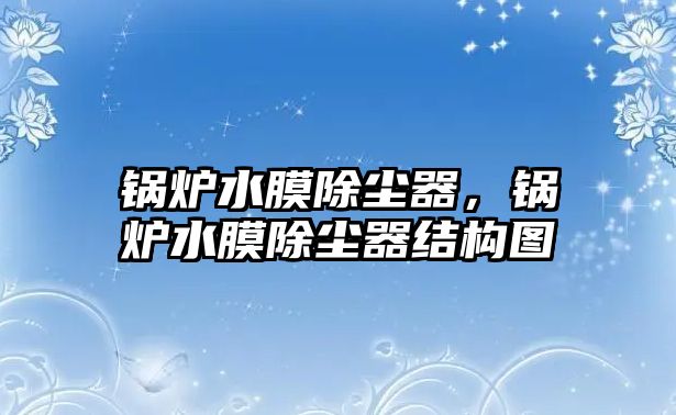 鍋爐水膜除塵器，鍋爐水膜除塵器結(jié)構(gòu)圖