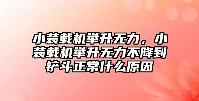 小裝載機舉升無力，小裝載機舉升無力不降到鏟斗正常什么原因