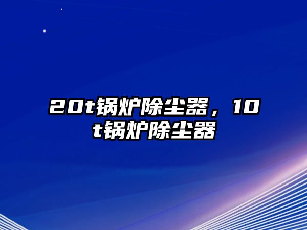 20t鍋爐除塵器，10t鍋爐除塵器