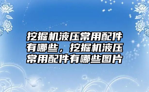 挖掘機(jī)液壓常用配件有哪些，挖掘機(jī)液壓常用配件有哪些圖片