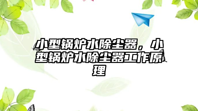 小型鍋爐水除塵器，小型鍋爐水除塵器工作原理