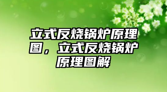 立式反燒鍋爐原理圖，立式反燒鍋爐原理圖解