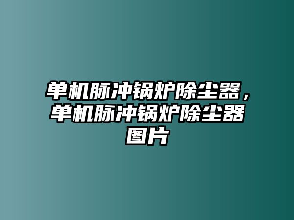 單機脈沖鍋爐除塵器，單機脈沖鍋爐除塵器圖片