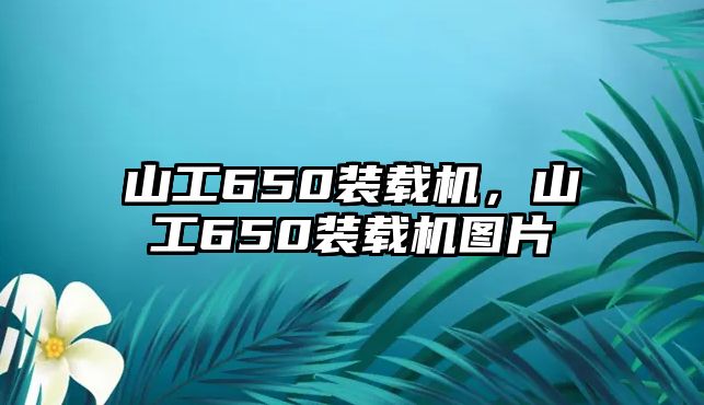 山工650裝載機，山工650裝載機圖片