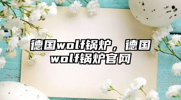 德國wolf鍋爐，德國wolf鍋爐官網(wǎng)