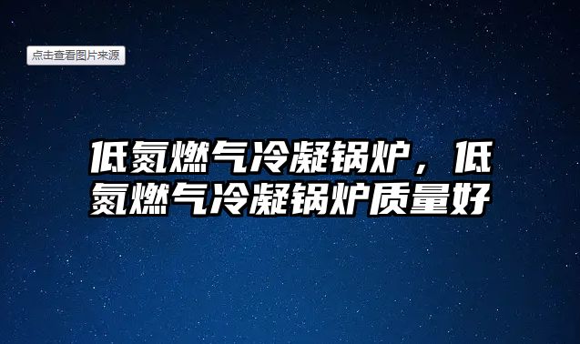 低氮燃?xì)饫淠仩t，低氮燃?xì)饫淠仩t質(zhì)量好