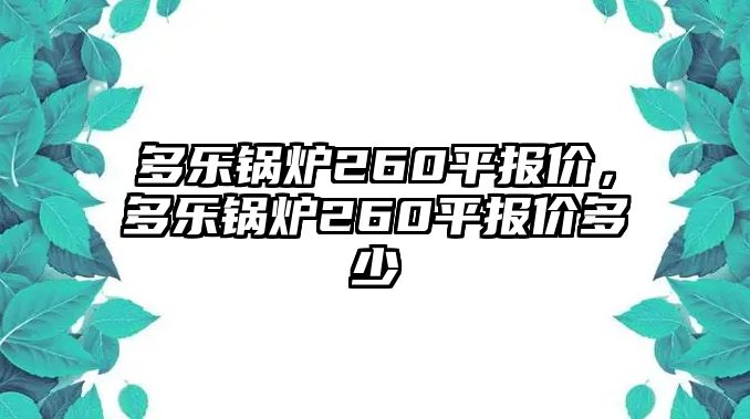 多樂鍋爐260平報價，多樂鍋爐260平報價多少