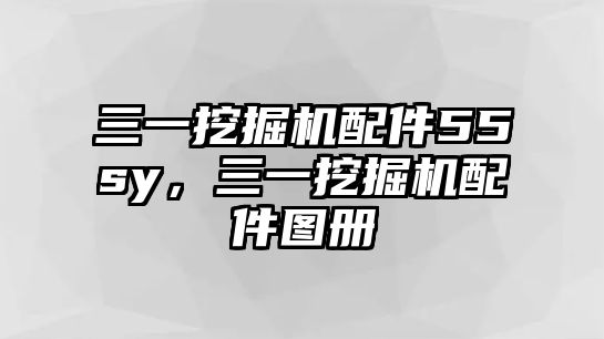 三一挖掘機(jī)配件55sy，三一挖掘機(jī)配件圖冊