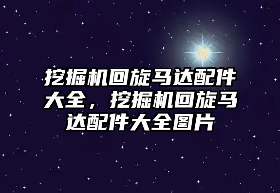 挖掘機回旋馬達配件大全，挖掘機回旋馬達配件大全圖片