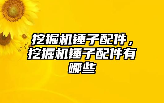 挖掘機錘子配件，挖掘機錘子配件有哪些