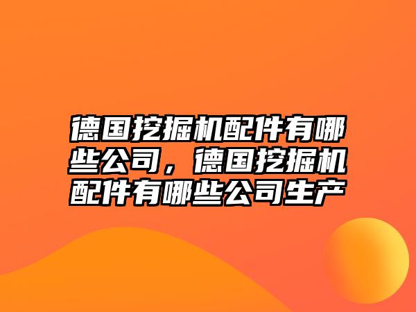 德國挖掘機配件有哪些公司，德國挖掘機配件有哪些公司生產(chǎn)