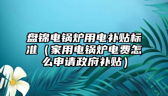 盤錦電鍋爐用電補貼標準（家用電鍋爐電費怎么申請政府補貼）