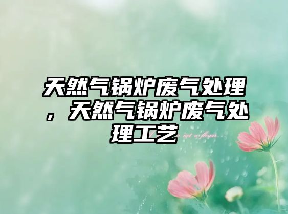 天然氣鍋爐廢氣處理，天然氣鍋爐廢氣處理工藝