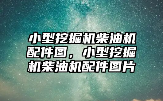 小型挖掘機柴油機配件圖，小型挖掘機柴油機配件圖片