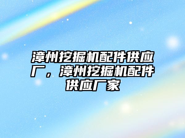 漳州挖掘機配件供應(yīng)廠，漳州挖掘機配件供應(yīng)廠家