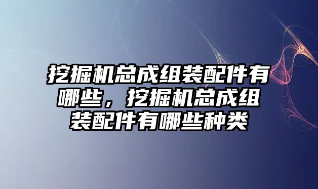 挖掘機總成組裝配件有哪些，挖掘機總成組裝配件有哪些種類