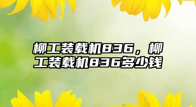 柳工裝載機836，柳工裝載機836多少錢