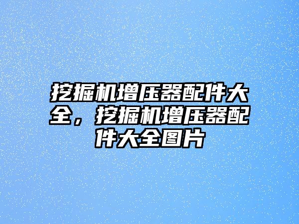 挖掘機增壓器配件大全，挖掘機增壓器配件大全圖片