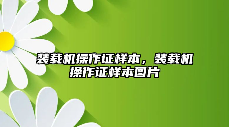 裝載機操作證樣本，裝載機操作證樣本圖片