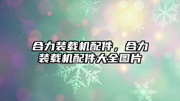 合力裝載機配件，合力裝載機配件大全圖片