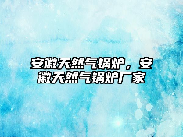 安徽天然氣鍋爐，安徽天然氣鍋爐廠(chǎng)家