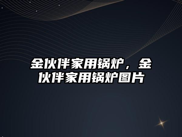 金伙伴家用鍋爐，金伙伴家用鍋爐圖片